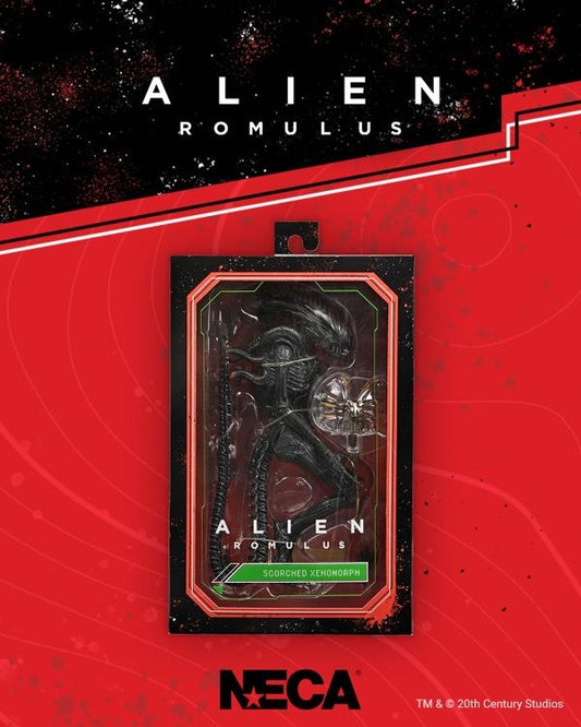 Alien Romulus Ult Scorched Xenomorph 7in Action Figure