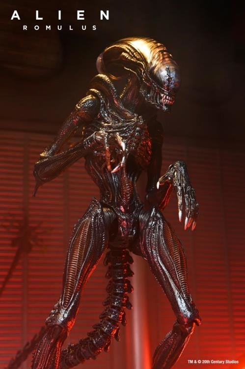 Alien Romulus Ult Scorched Xenomorph 7in Action Figure