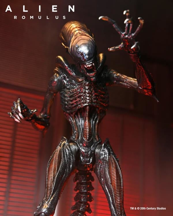 Alien Romulus Ult Scorched Xenomorph 7in Action Figure
