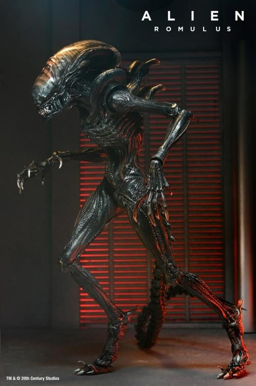 Alien Romulus Ult Scorched Xenomorph 7in Action Figure