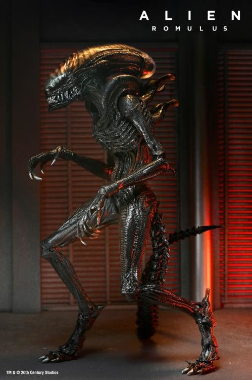 Alien Romulus Ult Scorched Xenomorph 7in Action Figure
