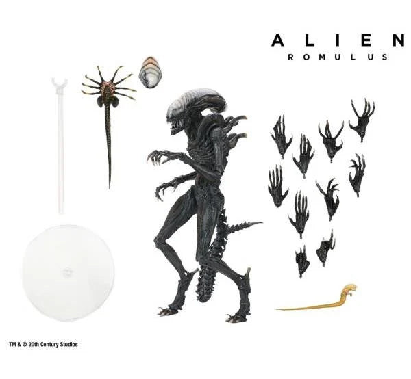 Alien Romulus Ult Scorched Xenomorph 7in Action Figure