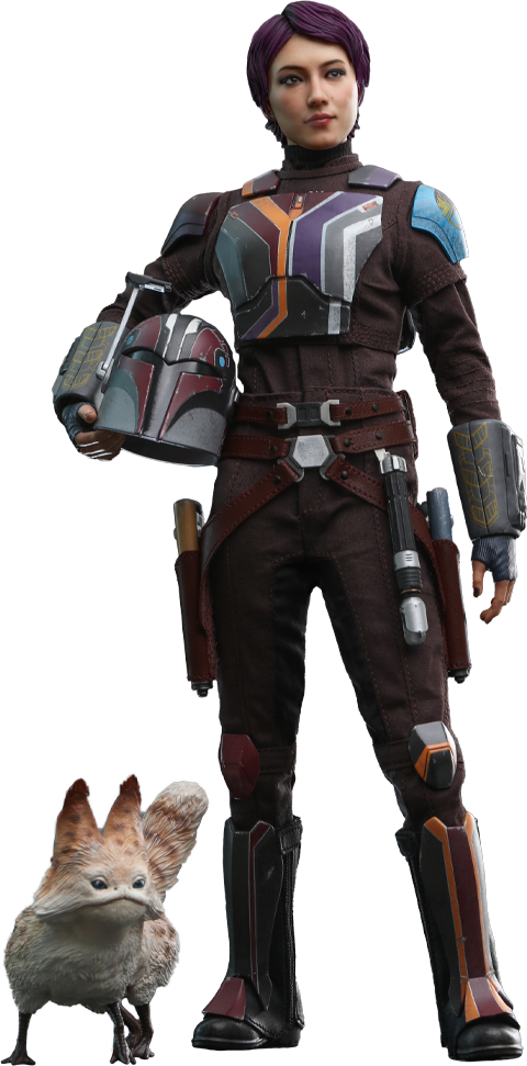 SABINE WREN™ Sixth Scale Figure by Hot Toys