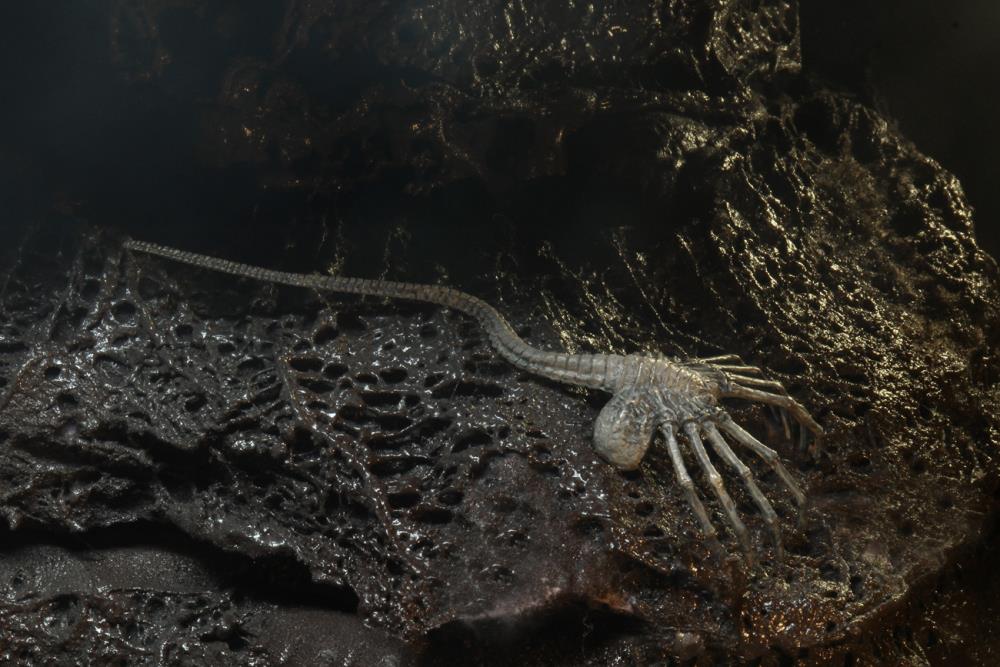 Alien 40th Anniversary Giger's Alien by Neca