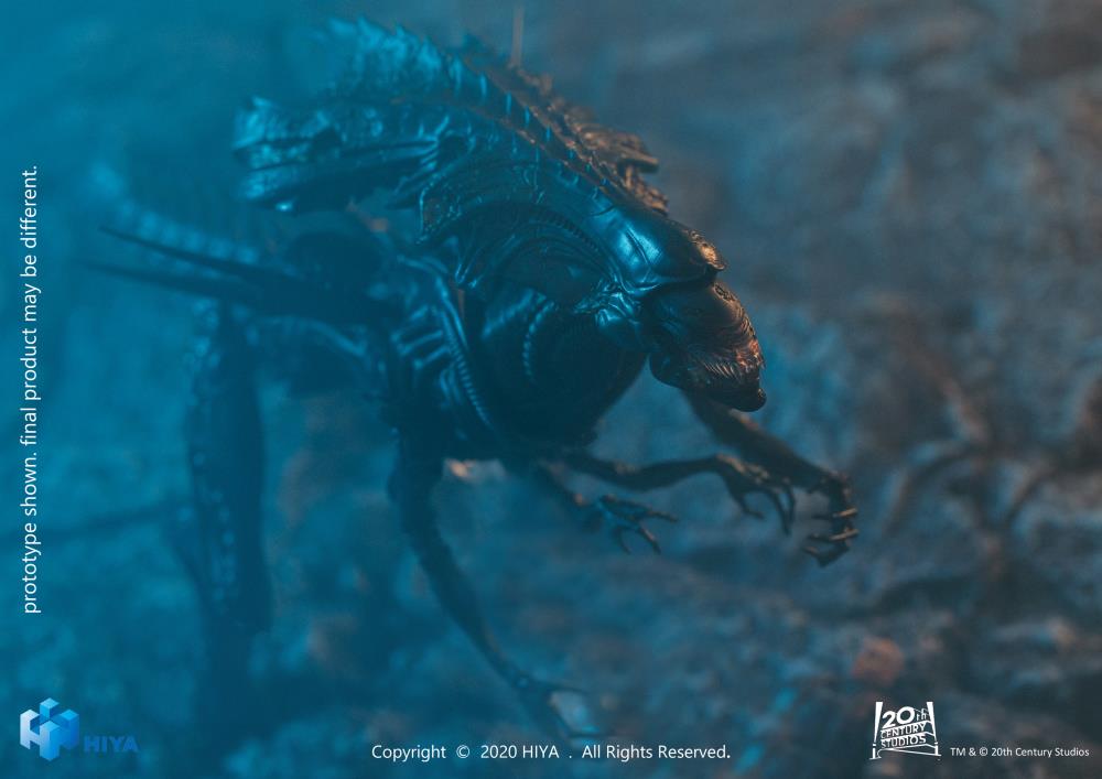 Alien vs. Predator Alien Queen (Battle Damaged) 1:18 Scale PX Previews Exclusive Figure