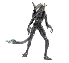 Alien vs. Predator Blowout Alien Warrior 1:18 Scale PX Previews Exclusive