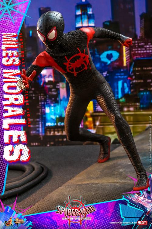 Spider-Man: Into the Spider-Verse MMS567 Miles Morales 1/6th Scale by HOTTOYS