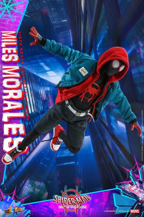 Spider-Man: Into the Spider-Verse MMS567 Miles Morales 1/6th Scale by HOTTOYS