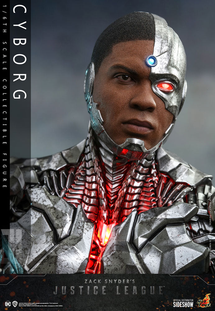 Cyborg Sixth Scale Figure by Hot Toys