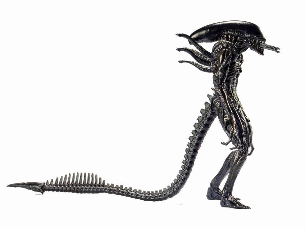 Alien vs. Predator Alien Warrior 1:18 Scale Action Figure by HIYA TOYS