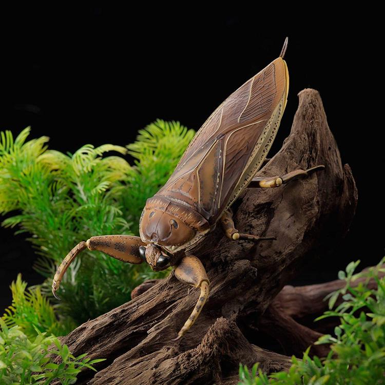 Revoltech RevoGeo Lethocerus deyrollei (Giant Water Bug)