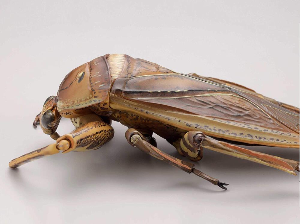 Revoltech RevoGeo Lethocerus deyrollei (Giant Water Bug)