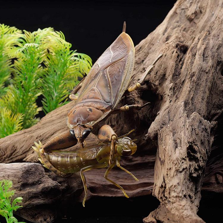 Revoltech RevoGeo Lethocerus deyrollei (Giant Water Bug)