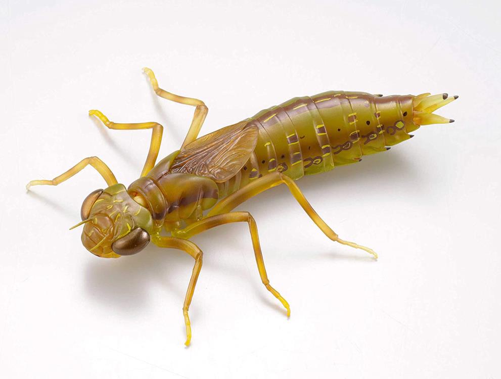 Revoltech RevoGeo Lethocerus deyrollei (Giant Water Bug)