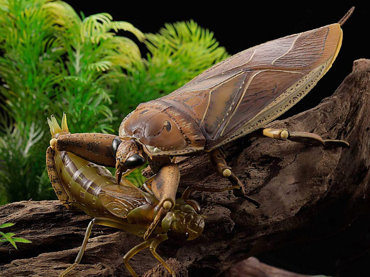 Revoltech RevoGeo Lethocerus deyrollei (Giant Water Bug)