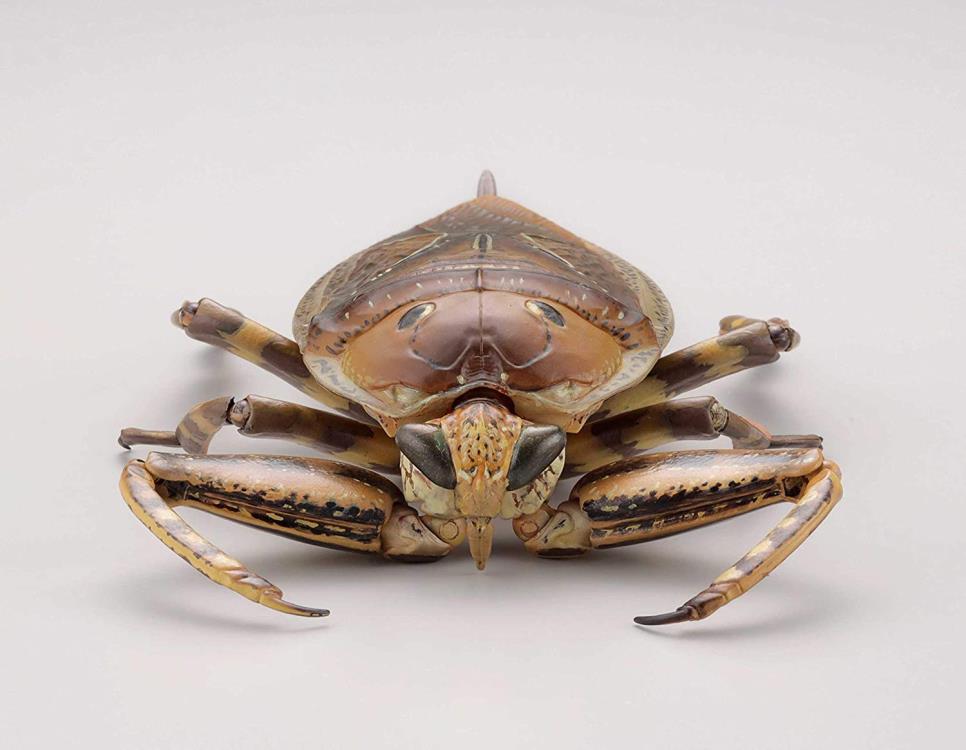 Revoltech RevoGeo Lethocerus deyrollei (Giant Water Bug)