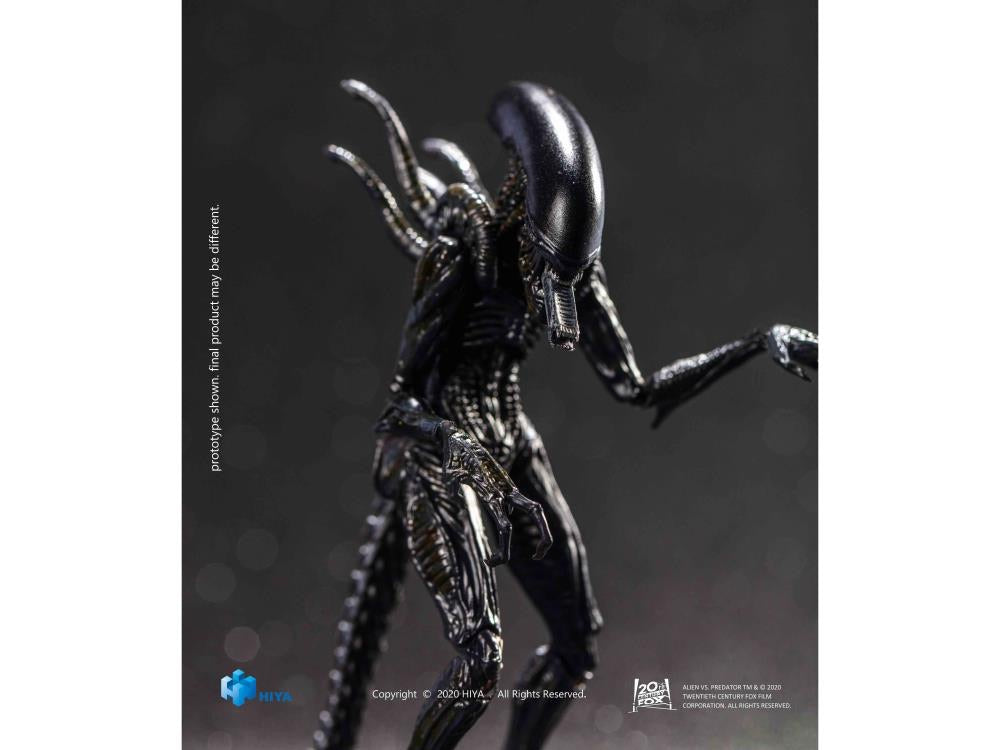 Alien vs. Predator Alien Warrior 1:18 Scale Action Figure by HIYA TOYS