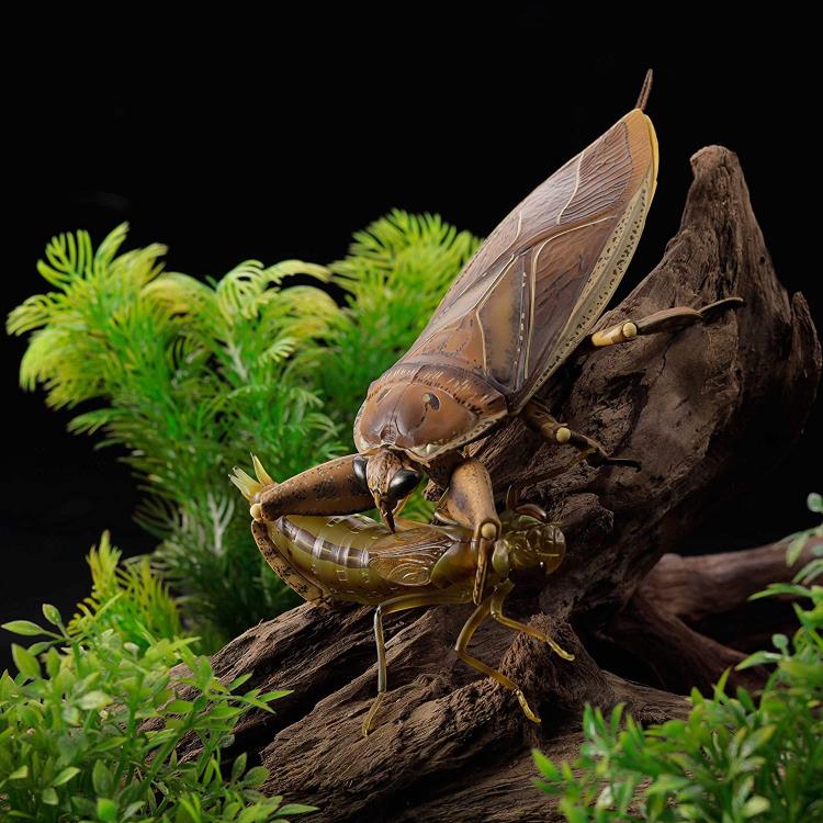 Revoltech RevoGeo Lethocerus deyrollei (Giant Water Bug)