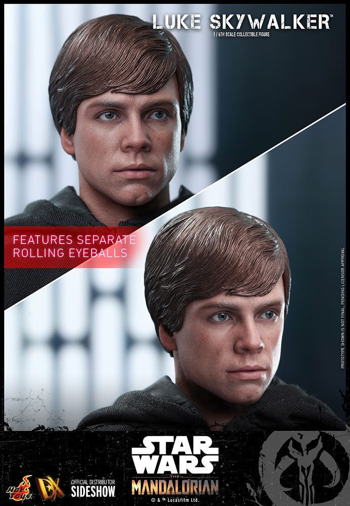 Luke Skywalker Sixth Scale Figure by Hot Toys