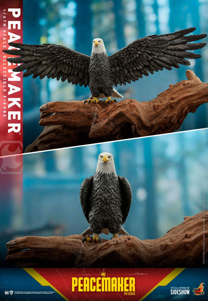 Peacemaker Sixth Scale Figure by Hot Toys