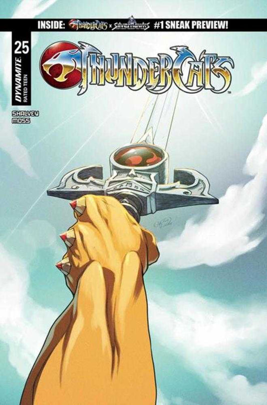 Thundercats #25 Cover D Emilio Pilliu Variant