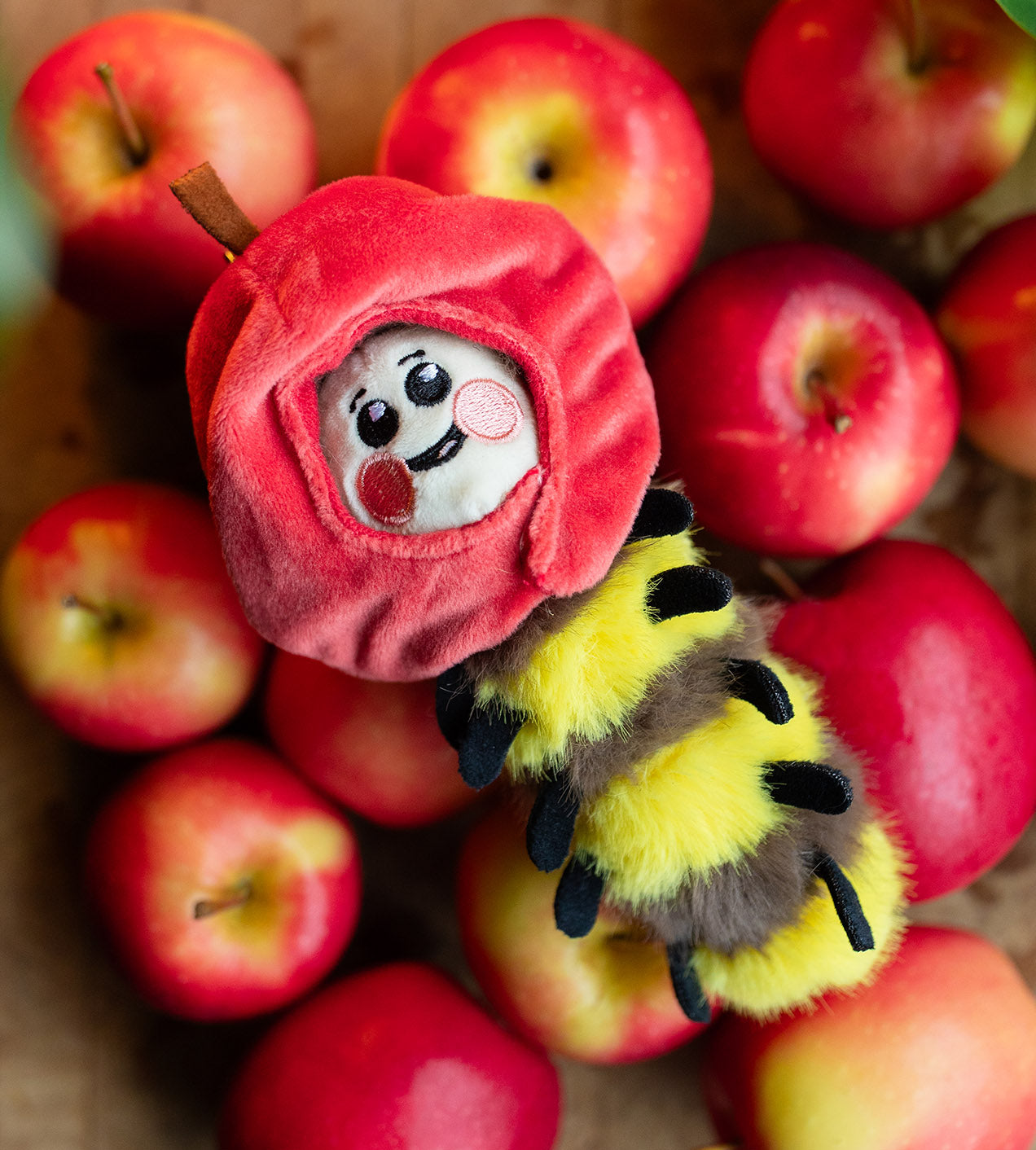 Wooly Bear and Friends Plush Keychain Blind Box