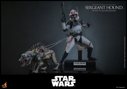 (Pre-order)Sergeant Hound™ Sixth Scale Figure Hot Toy