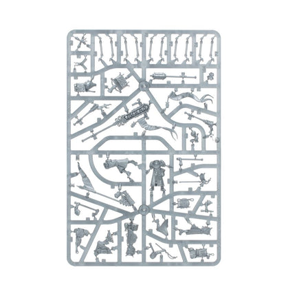 Warhammer Age Of Sigmar Cities Of Sigmar Freeguild Fusiliers