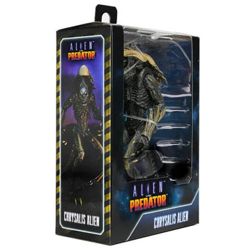 Alien vs Predator - 7" Scale Action Figure - Chrysalis Alien (Movie Deco)