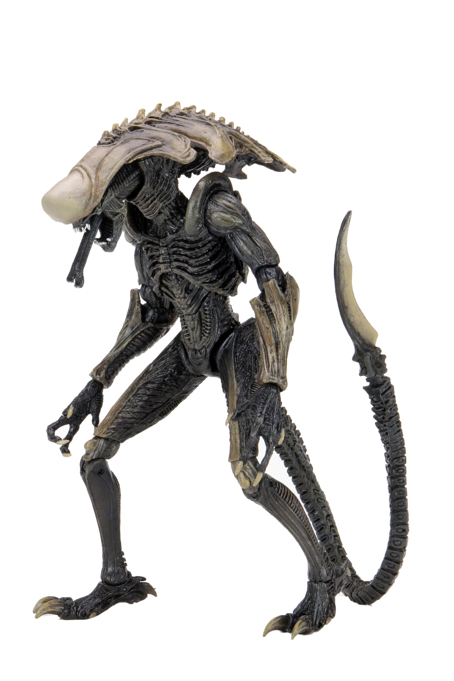 Alien vs Predator - 7" Scale Action Figure - Chrysalis Alien (Movie Deco)