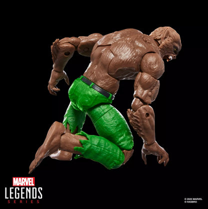 Marvel Legends Series Werewolf By Night