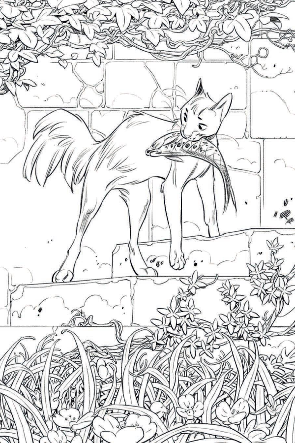 Animal Castle #3 Felix Delep Black & White Miss B. Wraparound Virgin Variant