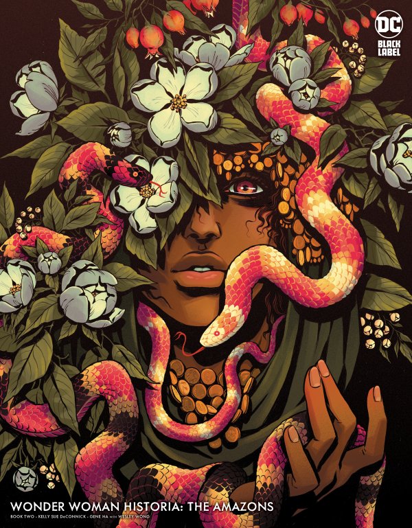Wonder Woman Historia: The Amazons #2
Cover B Becky Cloonan Variant