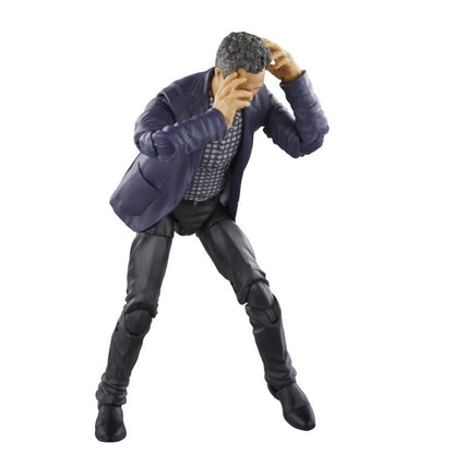 Avengers: Infinity War Marvel Legends The Infinity Saga Bruce Banner Action Figure