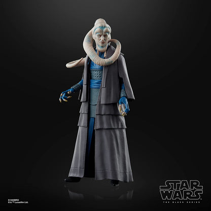 SW BLACK SERIES BIB FORTUNA 6IN AF