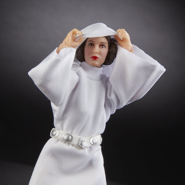 Hasbro Star Wars 40th Anniversary Princess Leia ANH 6-inch action figure
