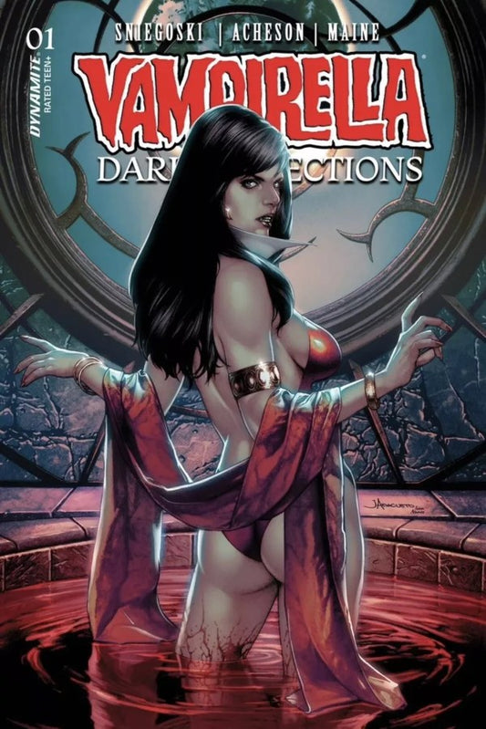 Vampirella Dark Reflections #1 Cover D