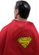Superman 8” Action Figure