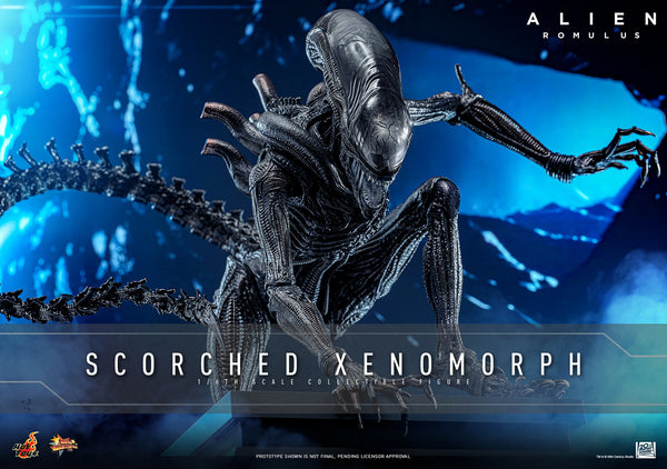 (PRE-ORDER) SCORCHED XENOMORPH Sixth Scale Figure by Hot Toys