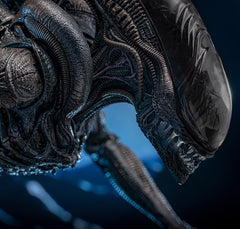 (PRE-ORDER) SCORCHED XENOMORPH Sixth Scale Figure by Hot Toys