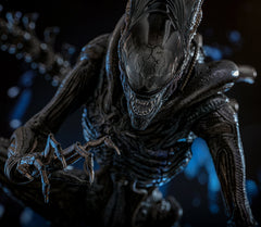 (PRE-ORDER) SCORCHED XENOMORPH Sixth Scale Figure by Hot Toys