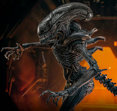 (PRE-ORDER) SCORCHED XENOMORPH Sixth Scale Figure by Hot Toys