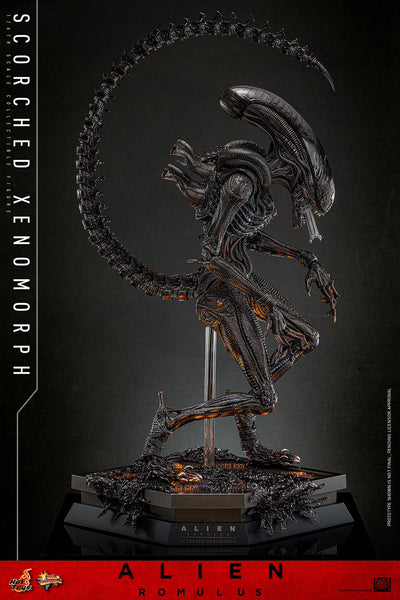 (PRE-ORDER) SCORCHED XENOMORPH Sixth Scale Figure by Hot Toys