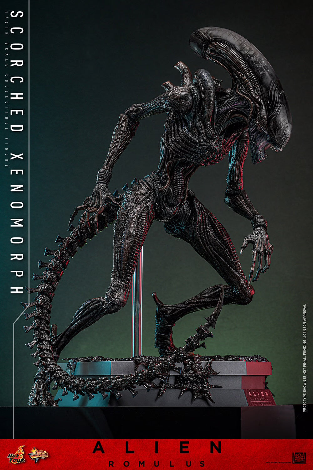 (PRE-ORDER) SCORCHED XENOMORPH Sixth Scale Figure by Hot Toys