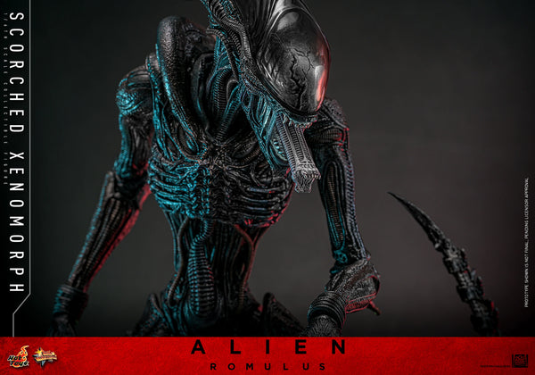 (PRE-ORDER) SCORCHED XENOMORPH Sixth Scale Figure by Hot Toys