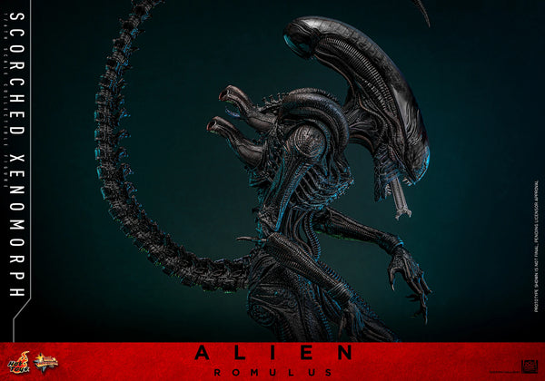 (PRE-ORDER) SCORCHED XENOMORPH Sixth Scale Figure by Hot Toys