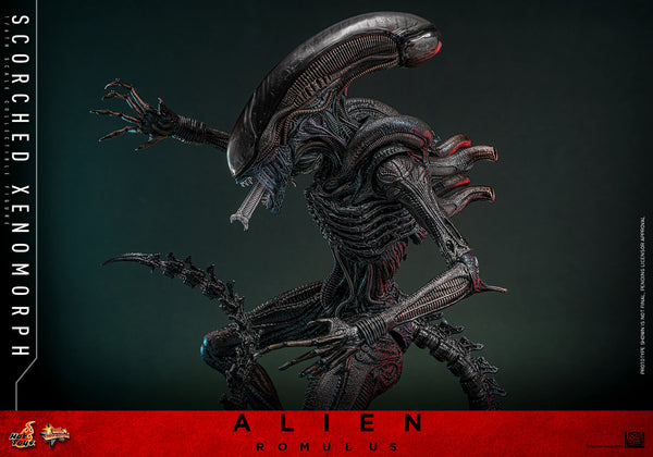 (PRE-ORDER) SCORCHED XENOMORPH Sixth Scale Figure by Hot Toys