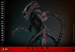 (PRE-ORDER) SCORCHED XENOMORPH Sixth Scale Figure by Hot Toys