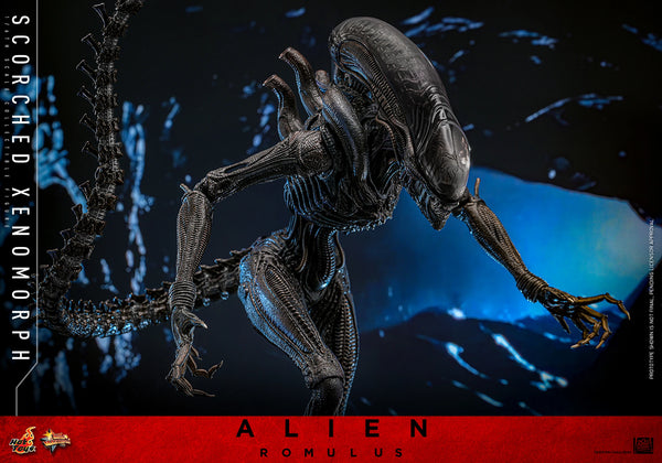 (PRE-ORDER) SCORCHED XENOMORPH Sixth Scale Figure by Hot Toys