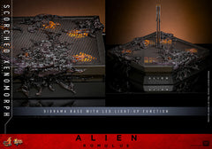 (PRE-ORDER) SCORCHED XENOMORPH Sixth Scale Figure by Hot Toys